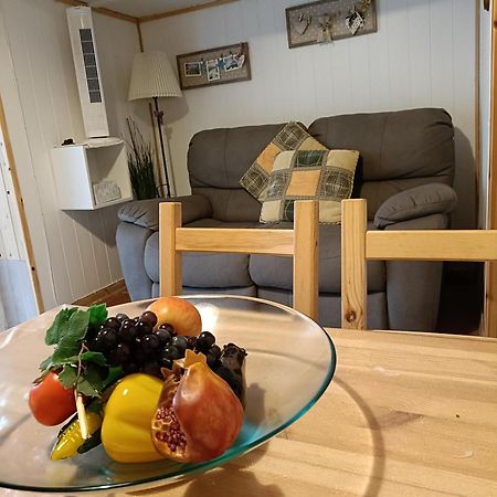 Nonna Lori'S Chalet Pisa Zona Stazione E Aeroporto エクステリア 写真