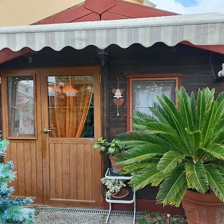 Nonna Lori'S Chalet Pisa Zona Stazione E Aeroporto エクステリア 写真
