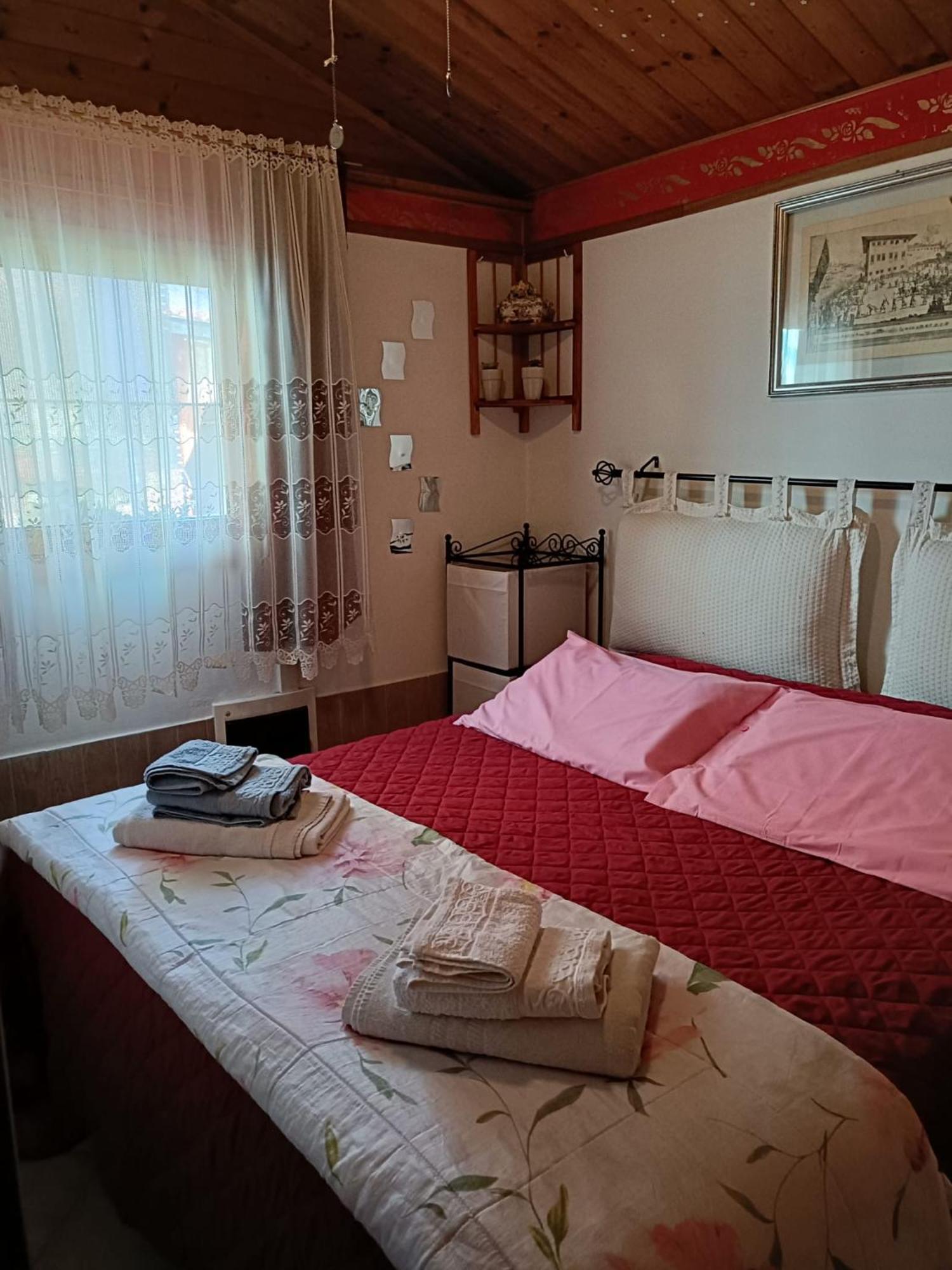 Nonna Lori'S Chalet Pisa Zona Stazione E Aeroporto エクステリア 写真